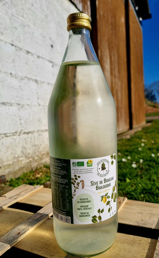 Sève de Bouleau Bio